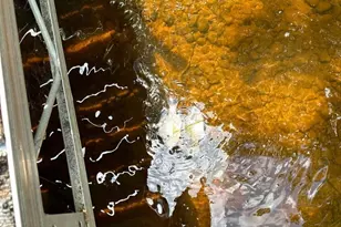 12980 N Lodge Rd, Hayward, WI 54843 - Photo 10