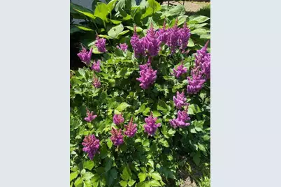 24555 Highway 61, Winona, MN 55987 - Photo 44