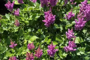 24555 Hwy 61, Winona, MN 55987 - Photo 44