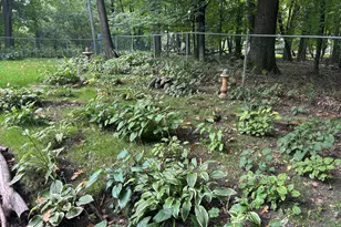 1426 Holdridge Cir, Wayzata, MN 55391 - Photo 18