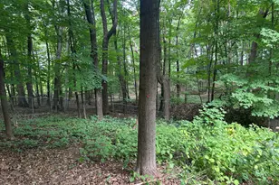 1426 Holdridge Cir, Wayzata, MN 55391 - Photo 14