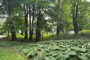 1426 Holdridge Cir, Wayzata, MN 55391 - Photo 16