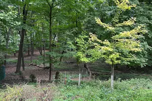 1426 Holdridge Cir, Wayzata, MN 55391 - Photo 18