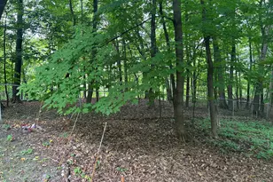 1426 Holdridge Cir, Wayzata, MN 55391 - Photo 20