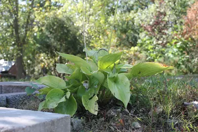 41974 County Highway 38 Highway, Clitherall, MN 56524 - Photo 32