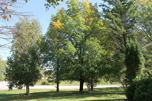 41974 County Hwy 38 Hwy, Clitherall, MN 56524 - Photo 28