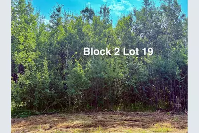 Tbd Eagle Dr NW, Baudette, MN 56623 - Photo 30