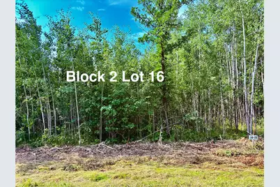 Tbd Eagle Dr NW, Baudette, MN 56623 - Photo 22
