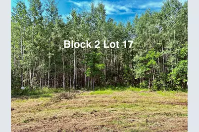 Tbd Eagle Dr NW, Baudette, MN 56623 - Photo 24
