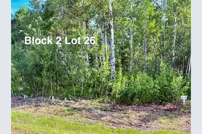 Tbd Eagle Dr NW, Baudette, MN 56623 - Photo 40