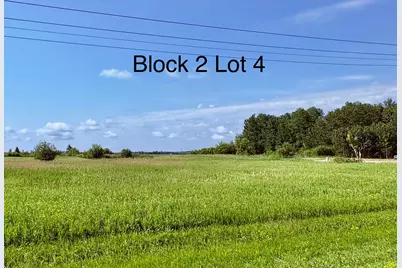Tbd 24th St NW, Baudette, MN 56623 - Photo 12