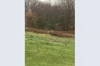 1449 3 1/2 Avenue, Dallas, WI 54733 - Photo 50