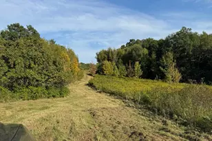 1449 3 1/2 Ave, Dallas, WI 54733 - Photo 48