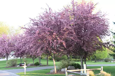 4838 Crown Lane, Woodbury, MN 55129 - Photo 76