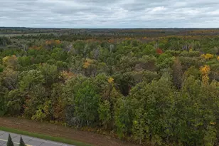 8135 County Road 65 NE, Deer River, MN 56636 - Photo 10