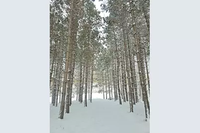 30180 Tower Road, Detroit Lakes, MN 56501 - Photo 2