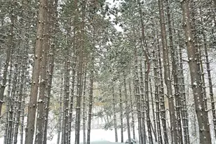 30180 Tower Rd, Detroit Lakes, MN 56501 - Photo 2