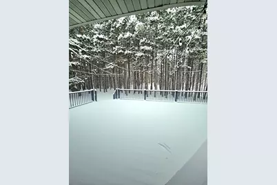 30180 Tower Road, Detroit Lakes, MN 56501 - Photo 38