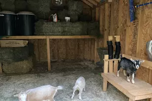 1755 Chateau Way, Minnetrista, MN 55359 - Photo 112