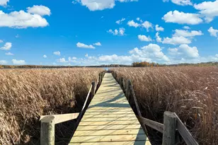 1755 Chateau Way, Minnetrista, MN 55359 - Photo 92