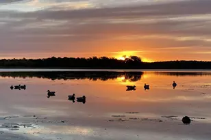 1755 Chateau Way, Minnetrista, MN 55359 - Photo 106