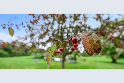 2419 230th Avenue, Saint Croix Falls, WI 54024 - Photo 92