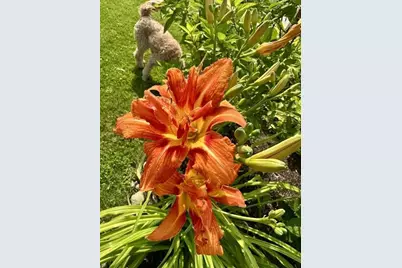 915 Lake Boulevard NE, Bemidji, MN 56601 - Photo 74