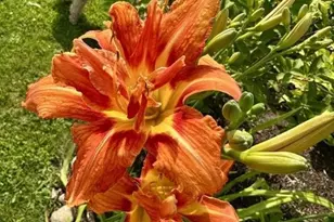 915 Lake Blvd NE, Bemidji, MN 56601 - Photo 74