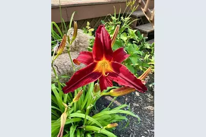 915 Lake Boulevard NE, Bemidji, MN 56601 - Photo 72