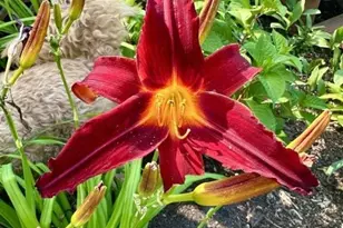 915 Lake Blvd NE, Bemidji, MN 56601 - Photo 72