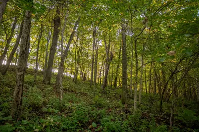 32979 County Road 1, La Crescent, MN 55947 - Photo 84