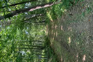 32979 County Rd 1, La Crescent, MN 55947 - Photo 114