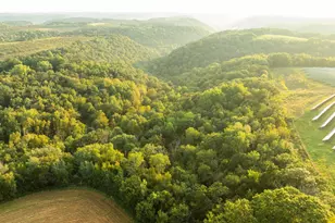 32979 County Rd 1, La Crescent, MN 55947 - Photo 92