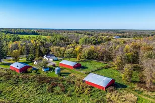 2233 Great Divide Rd NW, Durand Twp, MN 56667 - Photo 30