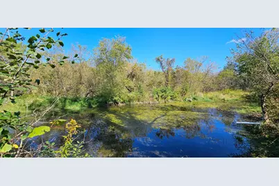 15531 County 21, Canton, MN 55922 - Photo 6