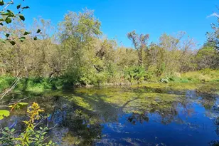 15531 County 21, Canton, MN 55922 - Photo 6