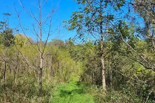 15531 County 21, Canton, MN 55922 - Photo 18