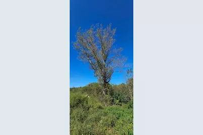 15531 County 21, Canton, MN 55922 - Photo 22