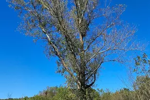 15531 County 21, Canton, MN 55922 - Photo 22