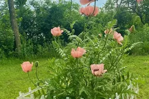 391 1st Ave SE, Cold Spring, MN 56320 - Photo 44