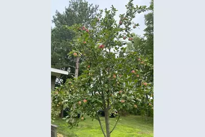 391 1st Avenue SE, Cold Spring, MN 56320 - Photo 42