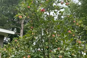 391 1st Ave SE, Cold Spring, MN 56320 - Photo 42