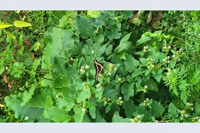 543 Homestead Trail, Somerset, WI 54025 - Photo 10