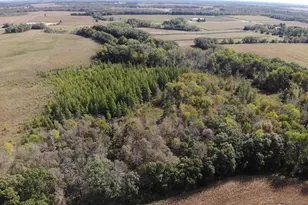 Tbd 150th St, Aldrich, MN 56481 - Photo 1