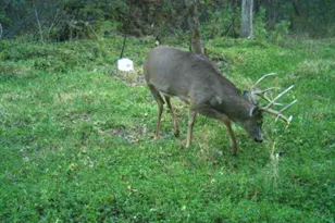 W10415 521st Ave, Prescott, WI 54021 - Photo 78