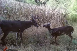 W10415 521st Ave, Prescott, WI 54021 - Photo 76