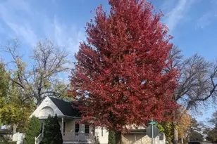 801 Carver St N, Winthrop, MN 55396 - Photo 2