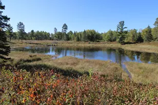 Tbd County Road 136, Fifty Lakes, MN 56448 - Photo 1