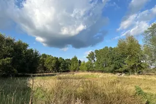 23304 State Hwy 29, Henning, MN 56551 - Photo 60