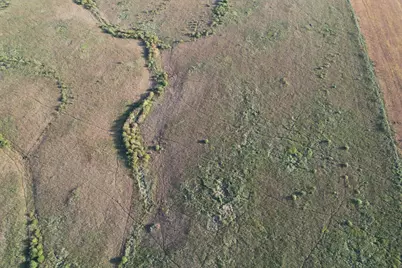 Tbd 340th Street, Ogema, MN 56569 - Photo 32